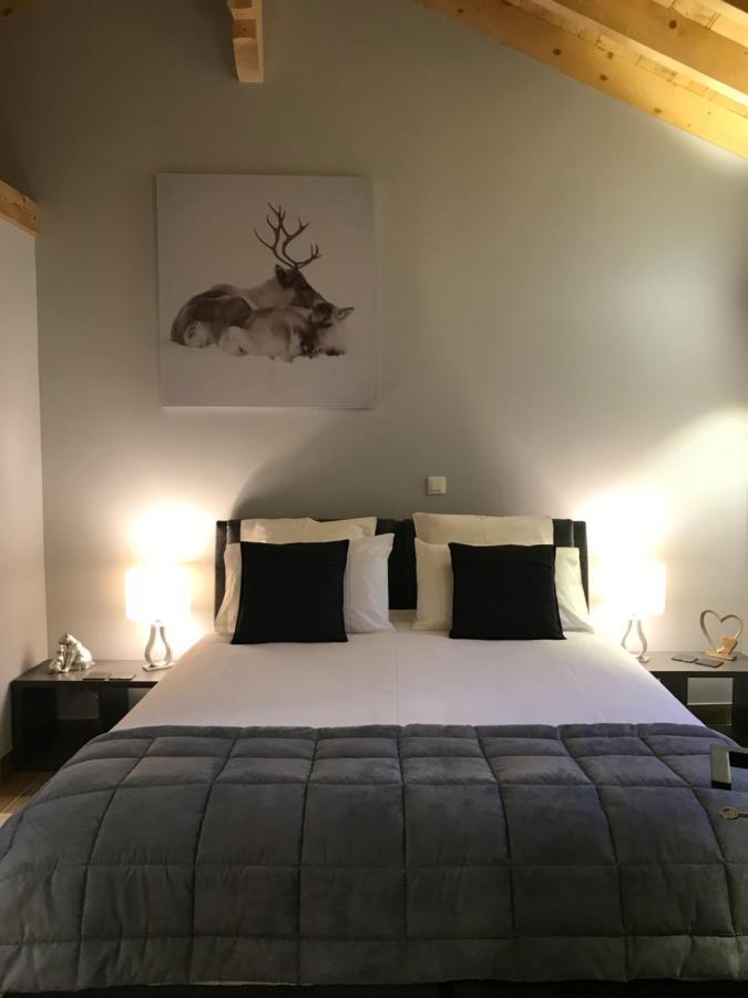 Chalet Barbara With Swimming Pool In The Heart Of Oisans Le Bourg-dʼOisans Extérieur photo
